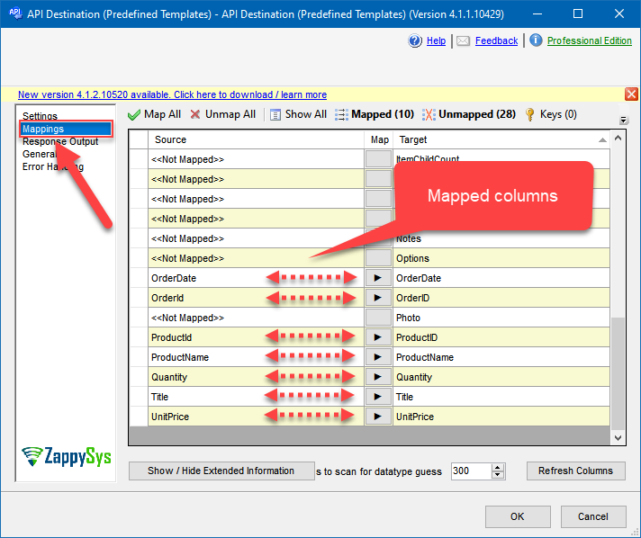 API Destination - Columns Mapping