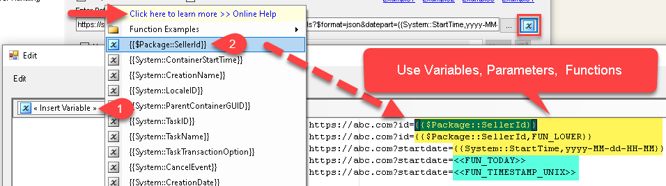 SSIS Placeholder / Function usage in URL / Path