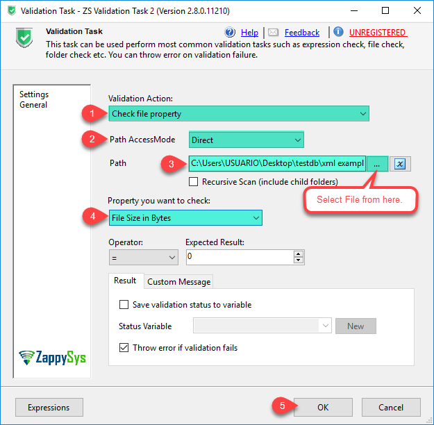 SSIS Validation Task - Validate for file content or file size
