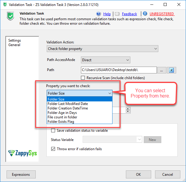 SSIS Validation Task - Property to check folder